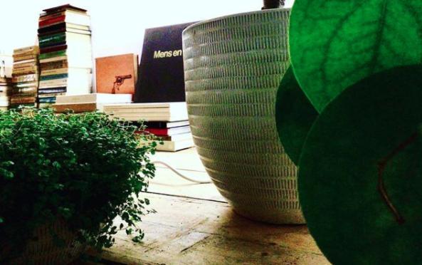 Gasthuis Bookstor Atelier