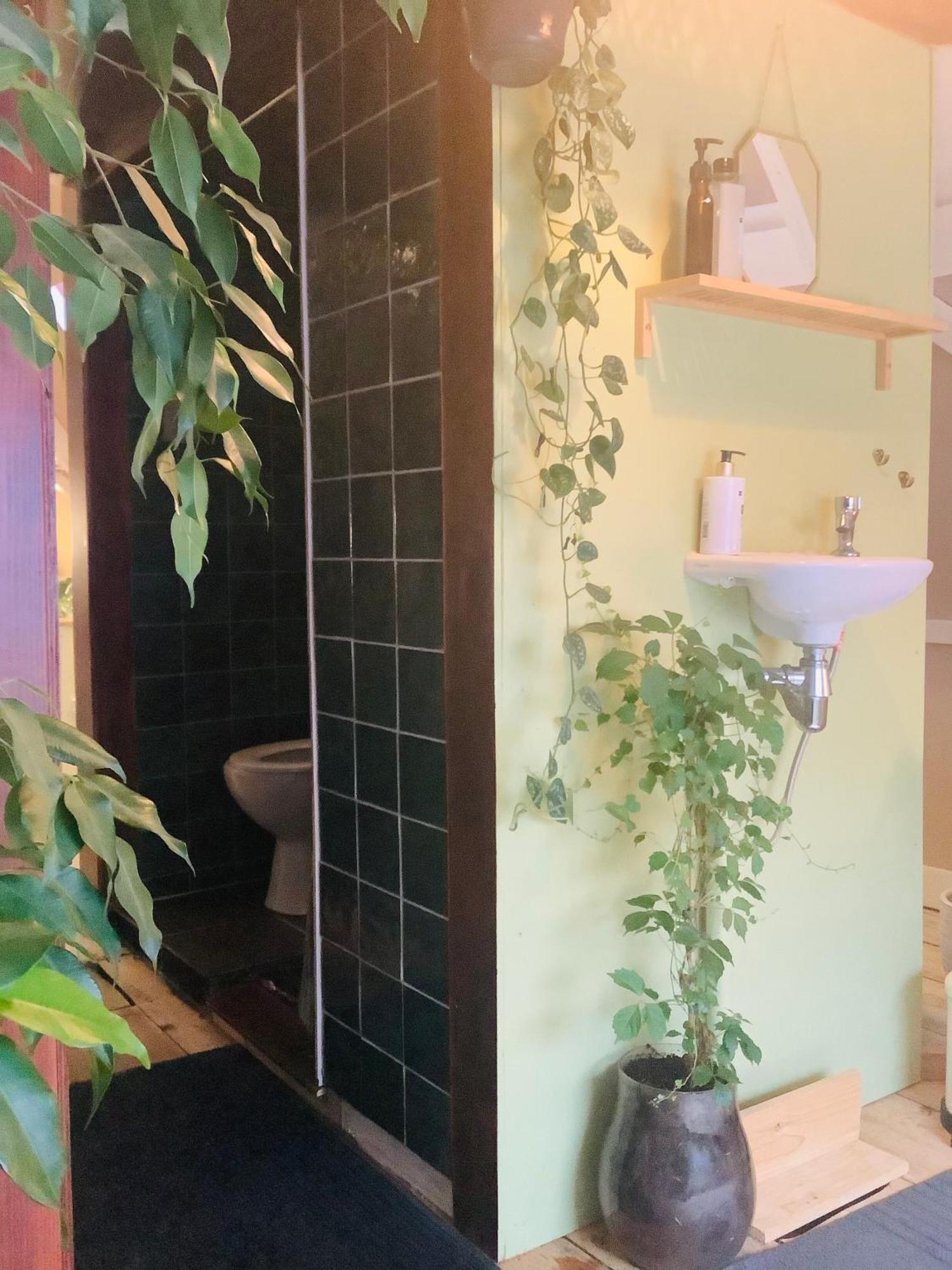 Bookstor Atelier Bed & Breakfast Den Haag